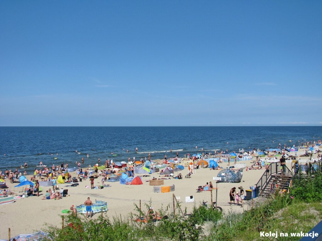 Ujęcie pełnej ludzi plaży w Stegnie pod głębokim, bezchmurnym błękitnym niebem. Tętniąca życiem mozaika kolorowych parawanów, leżaków i ręczników pokrywa piasek. Setki rodzin i wczasowiczów odpoczywają, spacerują po brzegu i kąpią się w Morzu Bałtyckim. Słoneczne, wakacyjne powietrze i unikalny, gwarny klimat polskiego wybrzeża.