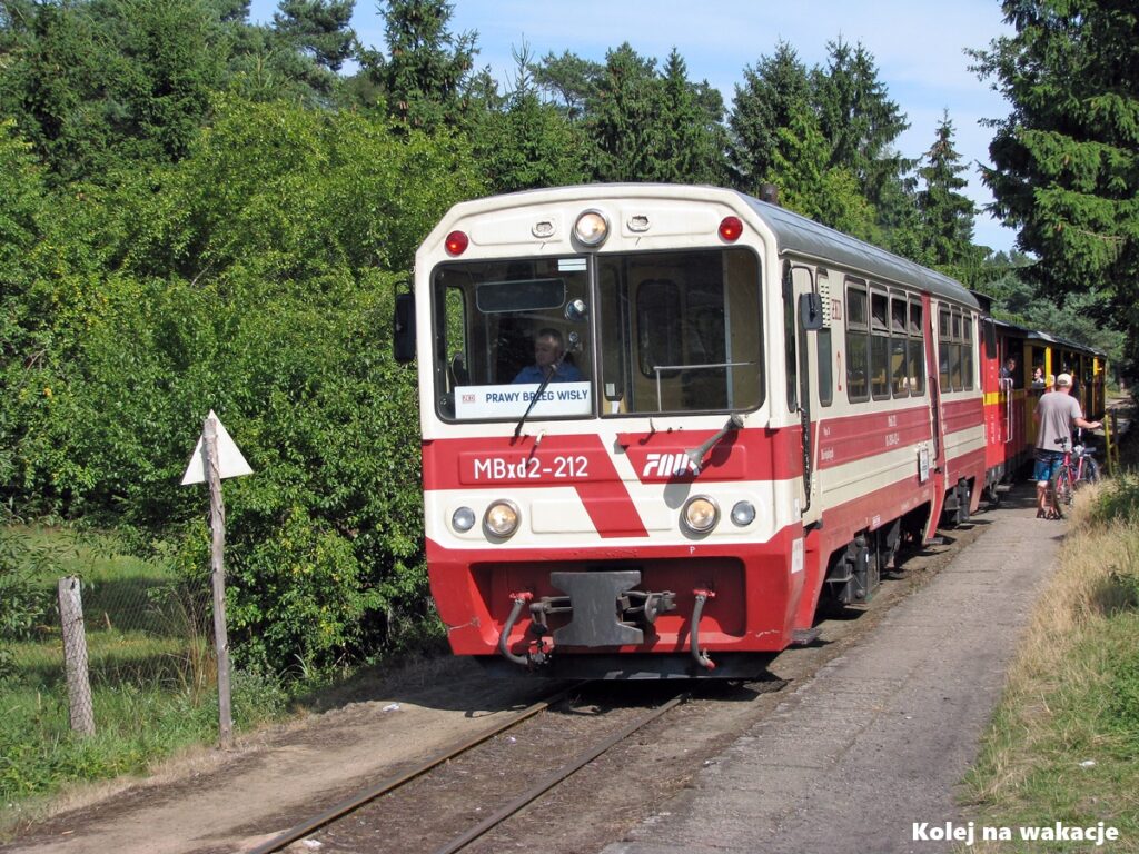 Poziome ujęcie turystycznego pociągu wąskotorowego z otwartymi wagonami letnimi (tzw. letniakami), który powoli przeciska się przez miejscowość Stegna. W tle widać gęstą zieleń. Pociąg Żuławskiej Kolei Dojazdowej wraca ze Sztutowa w gorący, słoneczny, wakacyjny dzień.