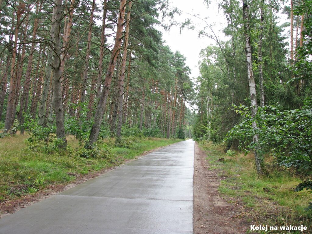 Szlak rowerowy z betonowych płyt w lesie między Ustką a Rowami, poprowadzony częściowo po dawnym nasypie kolejowym.