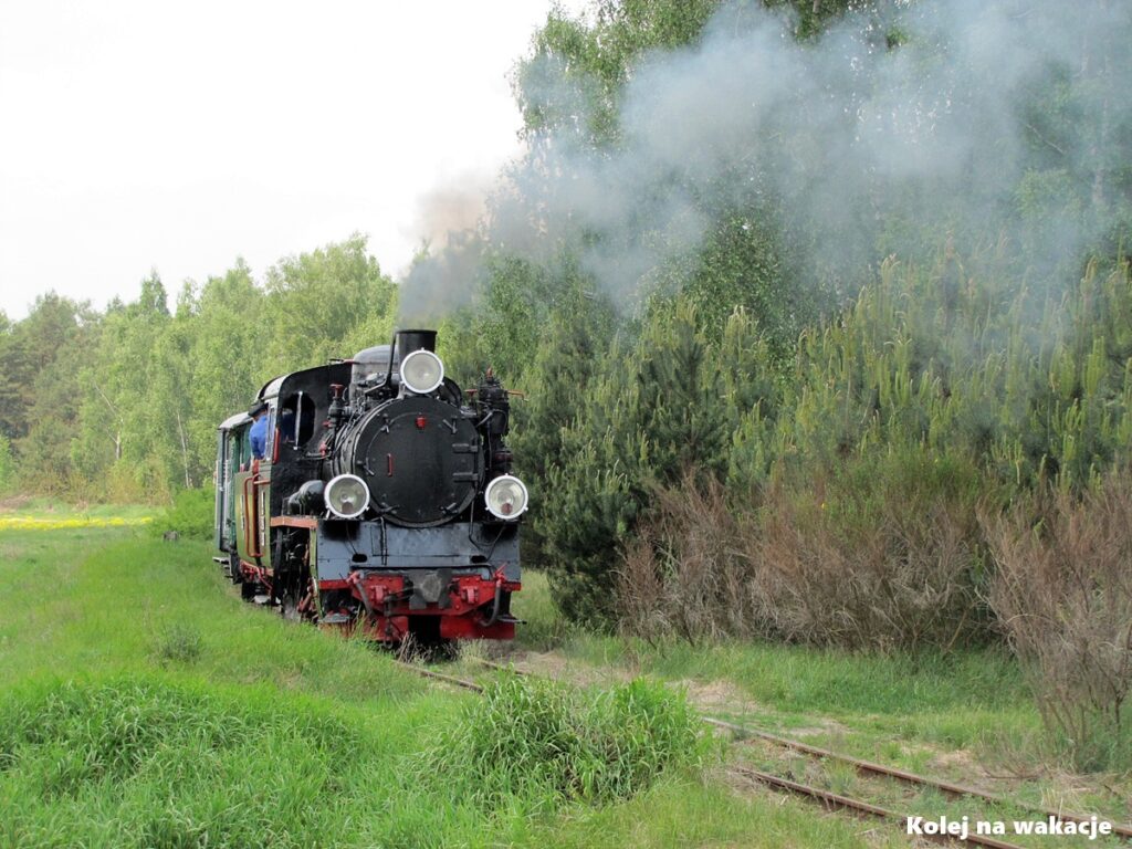 Dymiący parowóz Px48-1919 ciągnie pociąg Gnieźnieńskiej Kolei Wąskotorowej na zdjęciu z 2011 roku.