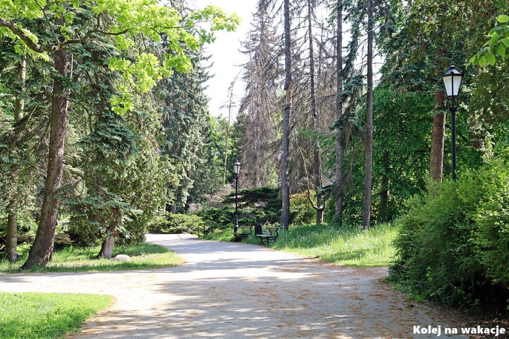 🚋 Jak zwiedzić Łódź tramwajem? Gotowy plan wycieczki po mieście 4 ark Źródliska w Łodzi wiosną – klimatyczna alejka spacerowa z historycznymi latarniami i ławkami wśród drzew.