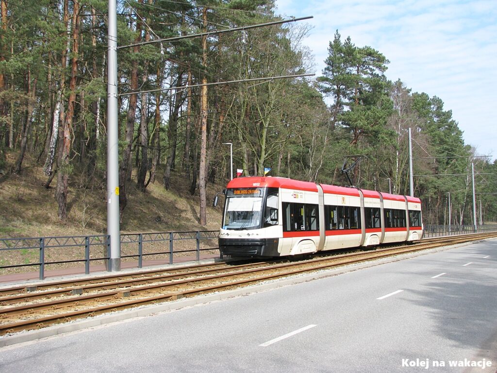 Nowoczesny tramwaj Pesa Swing numer 1012 jedzie przez gęsty las na linii nr 8 w kierunku centrum Gdańska.