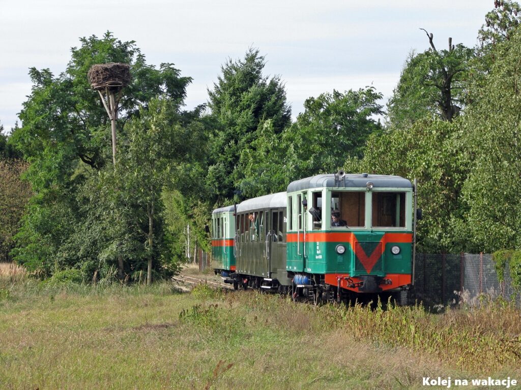 Przejazdy specjalne MBd1 na Sochaczewskiej Kolei Muzealnej 1 Wagon motorowy MBd1-130 podczas przejazdu specjalnego Sochaczewskiej Kolei Muzealnej