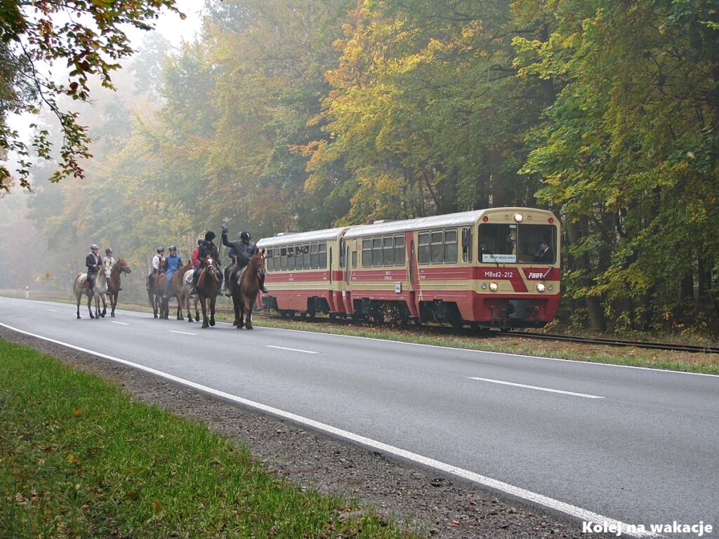 Wagon MBxd2-212 Żuławskiej Kolei Dojazdowej w Junoszynie spotyka grupę jeźdźców konnych